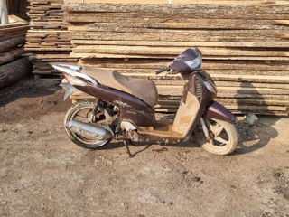 Honda Honda SH 150 foto 6