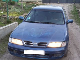 Nissan Primera foto 2