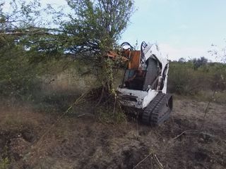 Oferim servicii de defrișare a terenurilor agricole. Предлагаем услуги по расчистке. bobcat foto 3