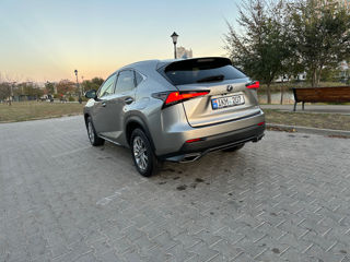 Lexus NX Series