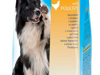 Hrana pentru câini RENO 10 kg./Корма для собак RENO 10 kg foto 1
