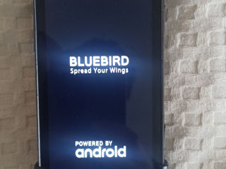 Тсд Bluebird foto 3