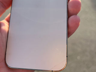 iPhone 12 Pro Max Gold foto 5