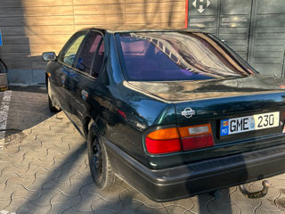 Nissan Primera foto 3