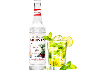 Sirop Gin De Ienupăr Monin 700 Ml Livrare Moldova