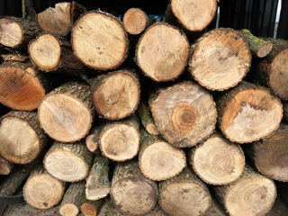 Vindem lemne de foc la un preț accesibil facem și livrare la domiciliu