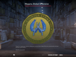 Steam Account / Стим Аккаунт - Counter-Strike 2 foto 8