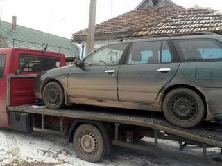 Разборка Nissan Primera P10 , P11, P12. Almera Tino , N16 ! Piese , Запчасти ! foto 6