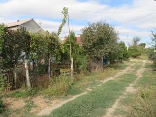 Продам участок 5 соток по ул.Огородная фото 1