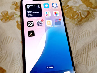 Ipgone  Xs Max Gold