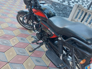 Viper Zf125 foto 2