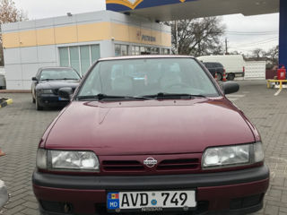 Nissan Primera foto 7