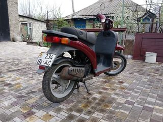 Piaggio Free foto 5