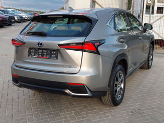 Lexus NX Series foto 5