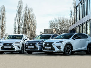 Lexus NX Series