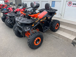 Viper Atv electric foto 10