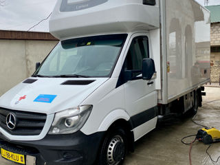 Mercedes Sprinter 519 Frigo foto 1