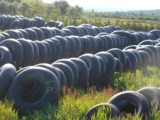 Cauciucuri agricole industriale si de camioane jante si camere pentru tractoare foto 2