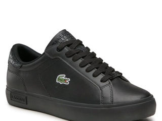 Lacoste Powercourt Noi