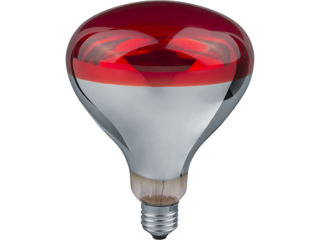 Lampă cu infraroșu pentru încălzirea păsărilor și animalelor NAVIGATOR, reflector R125, 150 W, E27 L foto 1