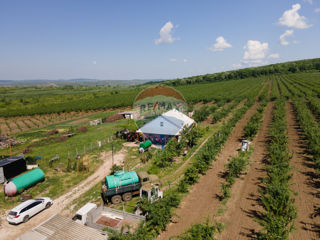 Livadă de prune cu uscătorie si tehnică agricolă foto 4