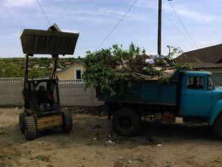 Evacuarea gunoiului-  zil - вывоз мусора foto 6