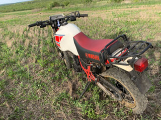 Yamaha Tenere Xt600z foto 6