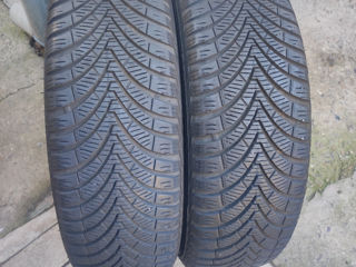 Два ската             Kumho              185/65/15