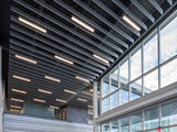 Экранный алюминиевый подвесной потолок, tavane suspendate lamelare liniare foto 3