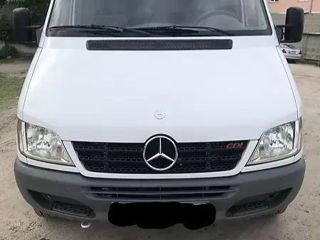 Mercedes 311cdi