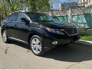 Lexus RX Series