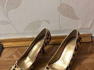 Pantofi Leopard/туфли класические foto 3