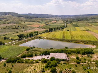 Se vinde afacere activă în s. Dolna, Strășeni, Chișinău foto 16