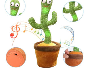 Cactus - dansează, cântă, repeta după  tine! foto 3