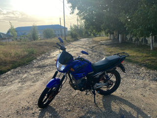 Kavaki 150cc foto 2