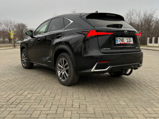 Lexus NX Series foto 5