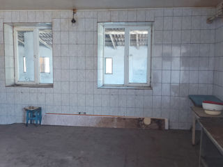 Imobil comerial фото 8