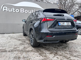 Lexus NX Series foto 7