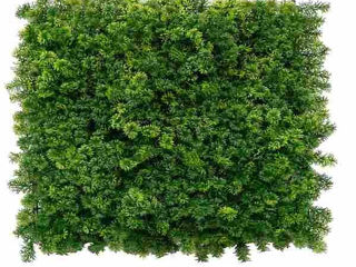 Искусственные зеленые панели.Panou verde din plante artificiale. foto 2