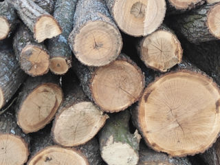 Avem lemne la vînzare 1400 pe zona centru
