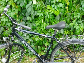 Se vinde bicicletă urgent foto 1