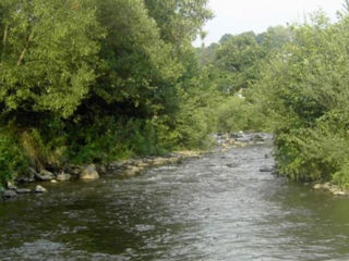 Pensiune individuală. Rraid, Sovata foto 3