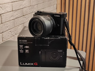 Lumix GX9 + Lumix 12-60mm