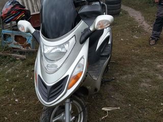 Honda moped foto 2