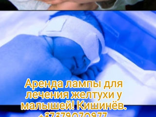 Медицинские лампы для лечения желтухи у малышей дома! Lămpi medicale pentru tratamentul icterului. foto 2