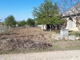 Vind casa cu 12 ari în satul Doroțcaia, raionul Dubasari foto 6