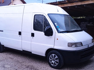 Fiat Ducata foto 6