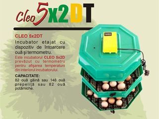 Incubator semi-automat 82 ouă găină Cleo 5X2DT/Livrare gratuita in toata Moldova/Garantie!! foto 1