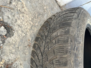 2022 Continental 195/65 r15 wintercontact ts 870 foto 2