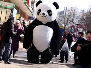 Надувной костюм (пневмокостюм, пневморобот) панда foto 4